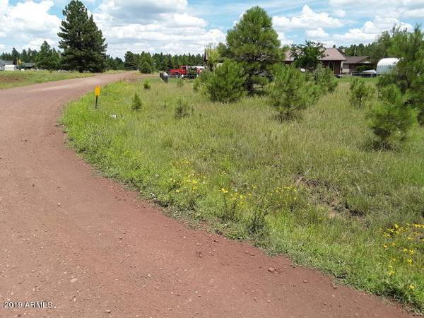 Pinetop, AZ 85935,142 W Aztec Circle #-