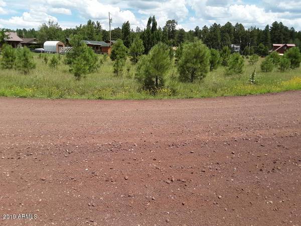 Pinetop, AZ 85935,142 W Aztec Circle #-