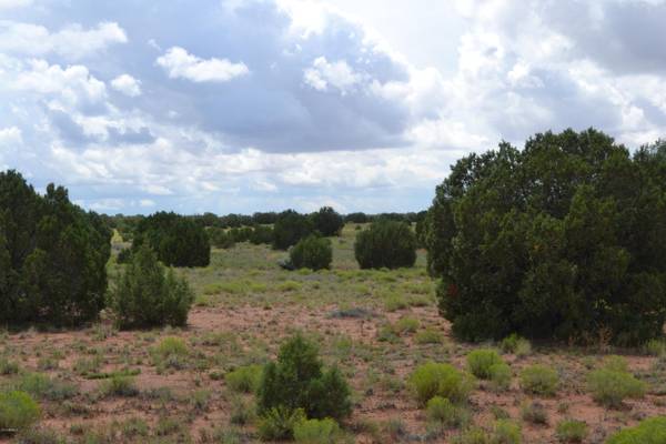 Concho, AZ 85924,CR 5575 -- #046