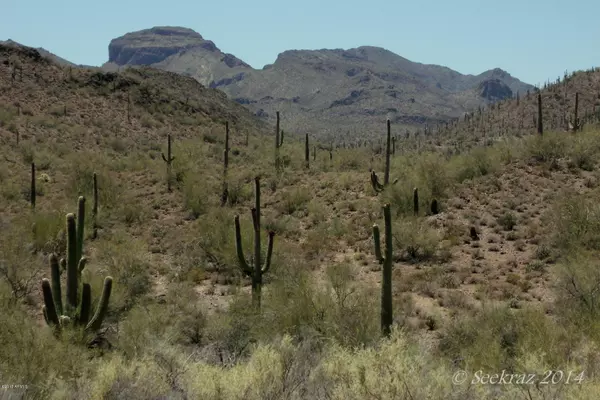 0 N Lake Pleasant Road #51 - 15.24 Acres, Morristown, AZ 85342