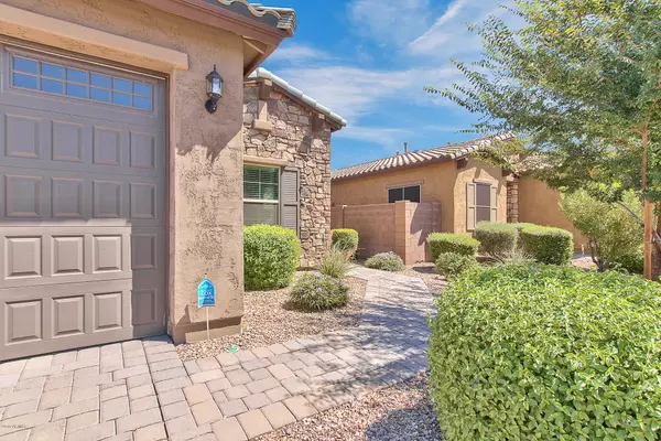 Chandler, AZ 85286,3350 E Wisteria Place