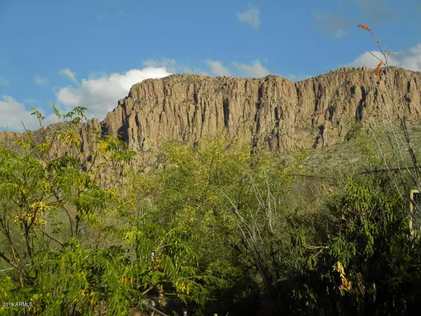 Superior, AZ 85173,647 W SONORA Street