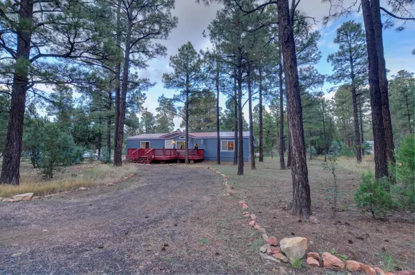 2857 Little Hawk Trail, Overgaard, AZ 85933