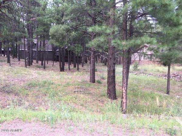 2466 Edward Ayer -- #76, Flagstaff, AZ 86005