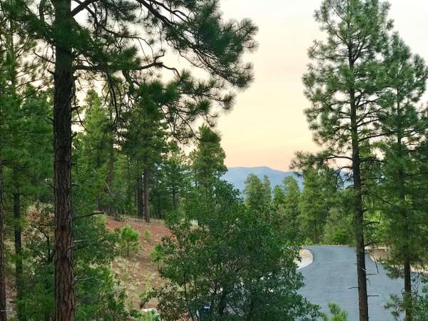 Flagstaff, AZ 86005,4805 S SNAFFLE BIT Road #128