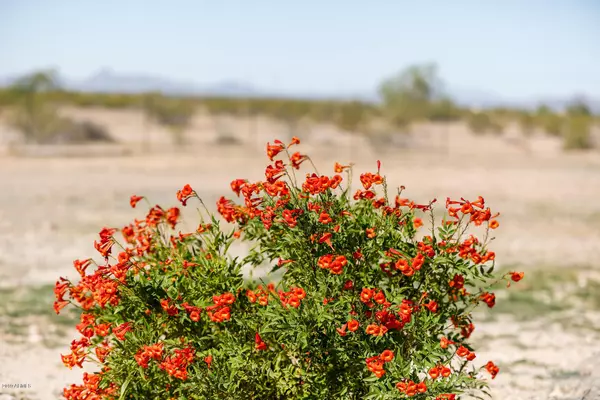 Tonopah, AZ 85354,5323 N 373RD Avenue