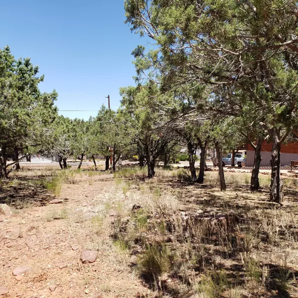 Payson, AZ 85541,2903 W Nicklaus Drive #210