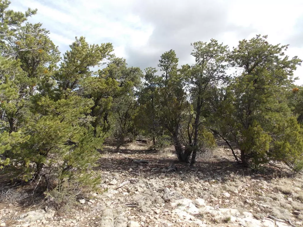 Heber, AZ 85928,Whisper Lane #1