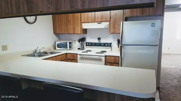 Wickenburg, AZ 85390,455 N TEGNER Street #20