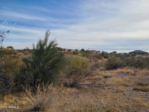 Wickenburg, AZ 85390,2985 Percheron Road #81