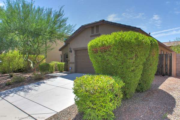 Peoria, AZ 85383,10827 W AVENIDA DEL REY --