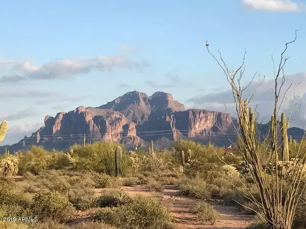 6668 E DIAMONDBACK Lane #36, Apache Junction, AZ 85119