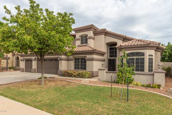 Gilbert, AZ 85295,1388 E SHANNON Street