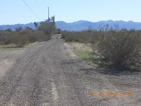 Wittmann, AZ 85361,22317 W CALLE DE LOS FLORES Drive #-