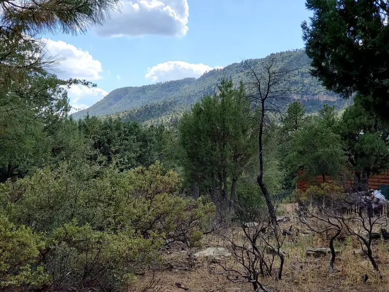 148 Buffalo Run #148, Payson, AZ 85541