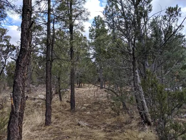 Heber, AZ 85928,3409 HIDE AWAY Circle #5