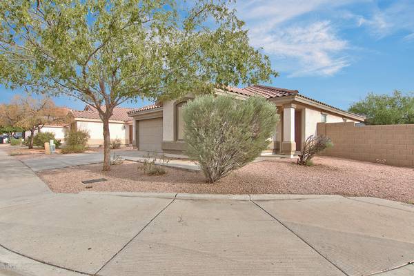 Mesa, AZ 85208,11419 E FLOWER Avenue