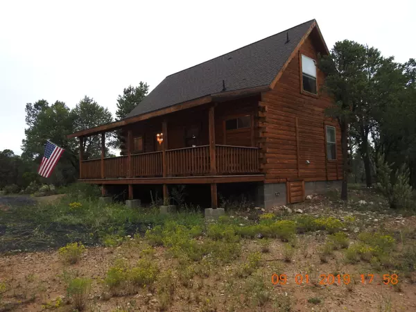 Overgaard, AZ 85933,3347 APACHE Drive