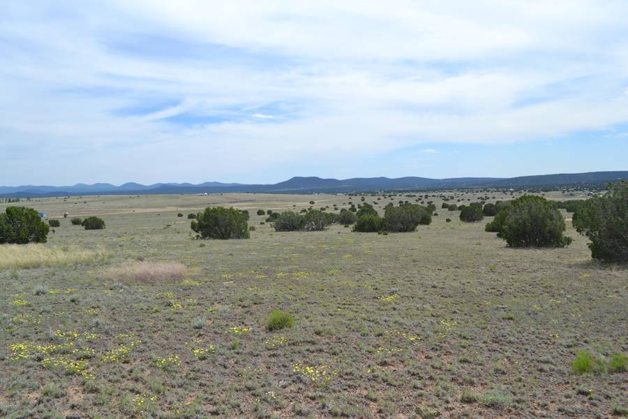 N8070 -- #168, Concho, AZ 85924