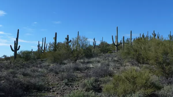 New River, AZ 85087,43308 N 11TH Street #-