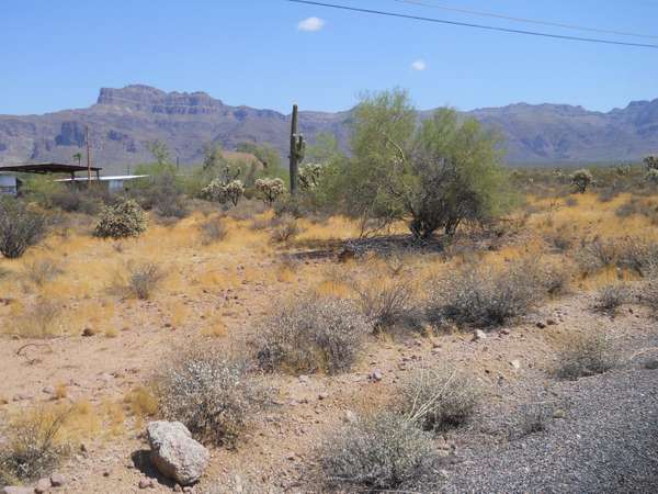 Apache Junction, AZ 85119,0 E 28th Avenue #-