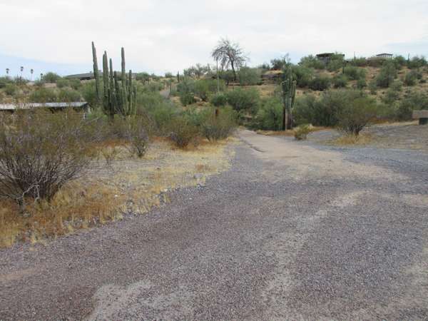 Cave Creek, AZ 85331,5725 E SAGUARO Road E #-