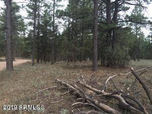 Overgaard, AZ 85933,2086 PONDEROSA Trail #31