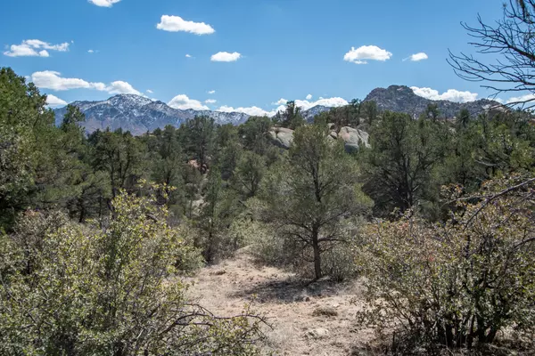 Prescott, AZ 86305,99 N Cougar Canyon B3 Road #-