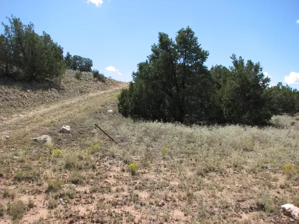 Heber, AZ 85928,30 Chevelon Retreat #1 -- #30