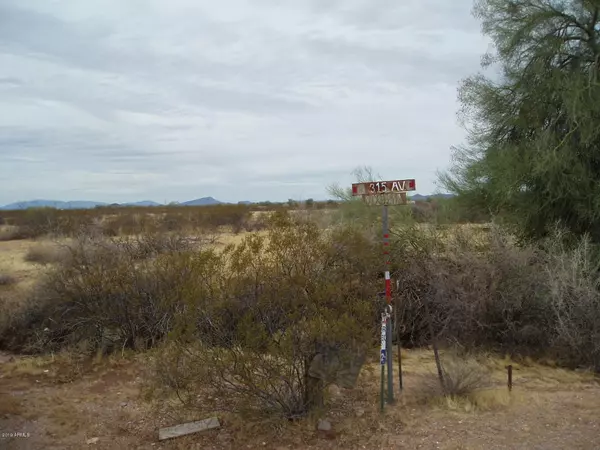 Unincorporated County, AZ 85361,31510 W Dixileta Drive #97