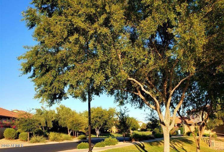 Gilbert, AZ 85298,3854 E PALMER Street