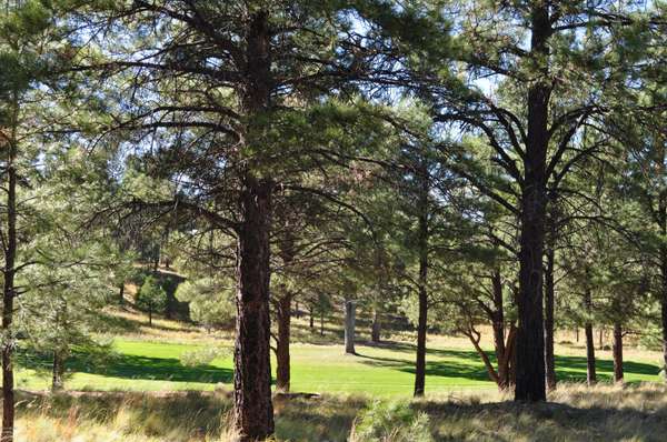 Flagstaff, AZ 86005,2931 S Solitaries Canyon Drive #343