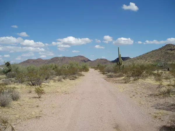 Unincorporated County, AZ 85361,30915 W Carlise Road #108