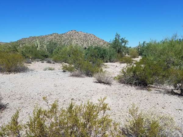 Queen Creek, AZ 85142,0 W Adobe Dam Road #2