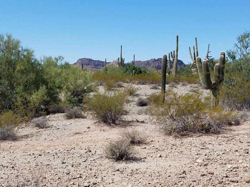 0 W Adobe Dam Road #2, Queen Creek, AZ 85142