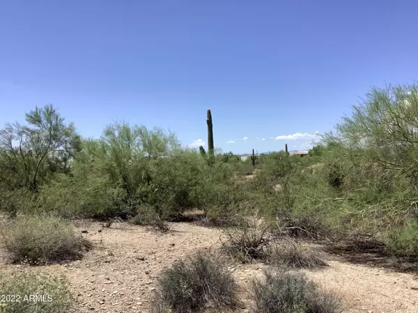 Scottsdale, AZ 85266,29430 N 76TH Street #2