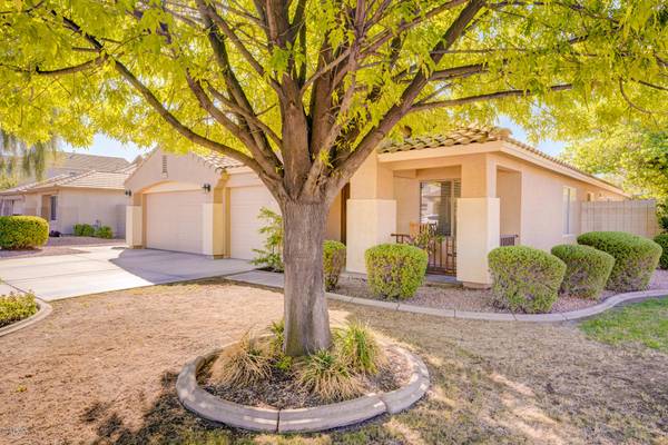 Gilbert, AZ 85295,1147 E TYSON Street