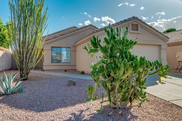 Gilbert, AZ 85296,1761 E APPALOOSA Road