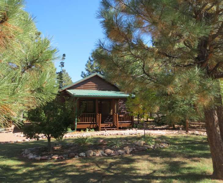 2647 Lodge Loop, Overgaard, AZ 85933