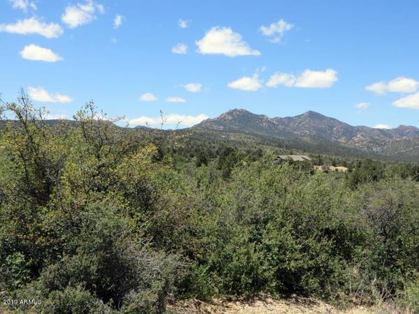 Peeples Valley, AZ 86332,16790 W BLUE SKY Drive #00