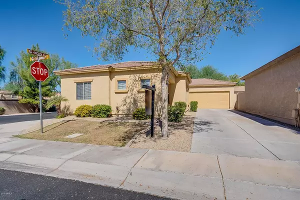 868 E Savannah Drive, Chandler, AZ 85225