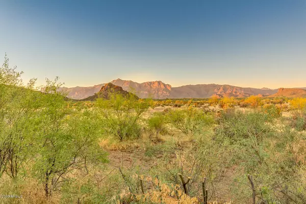 Gold Canyon, AZ 85118,17994 E VIA JARDIN --