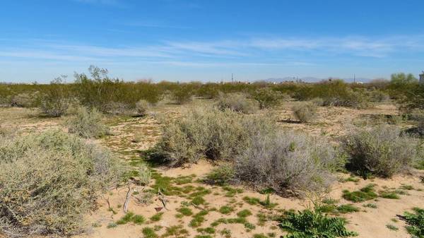 Tonopah, AZ 85354,35005 W Ardmore Street #-