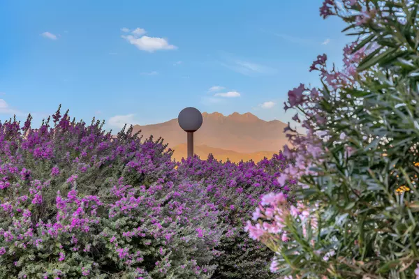 Fountain Hills, AZ 85268,16354 E PALISADES Boulevard #3-105