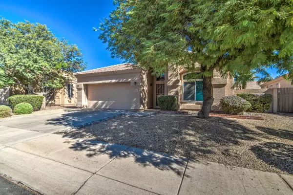 Chandler, AZ 85226,6530 W DUBLIN Court