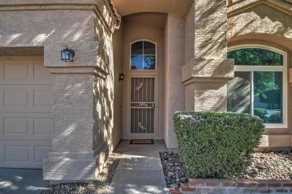 Chandler, AZ 85226,6530 W DUBLIN Court