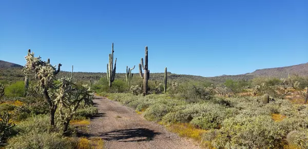 New River, AZ 85087,223 W Lazy K Ranch Road
