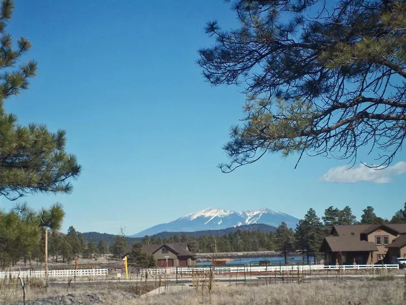 100 N Trilogy Drive #72, Williams, AZ 86046