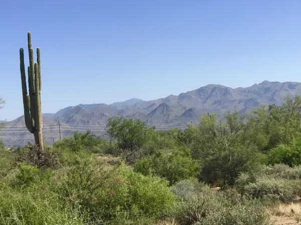 Rio Verde, AZ 85263,278 N 172nd Place #-