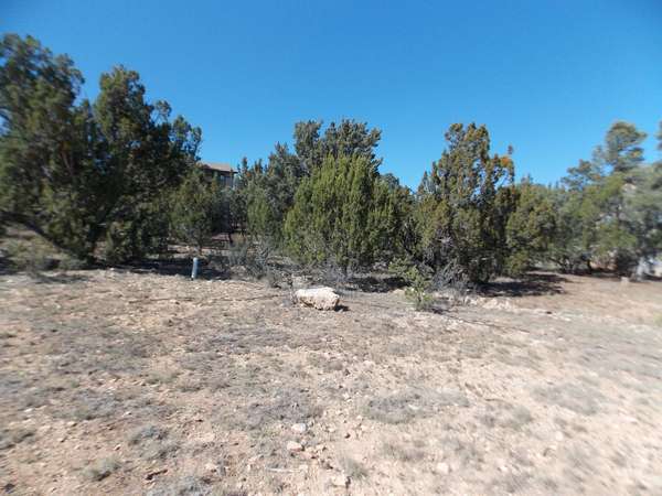 Heber, AZ 85928,1562 GREEN HAVEN Circle #77